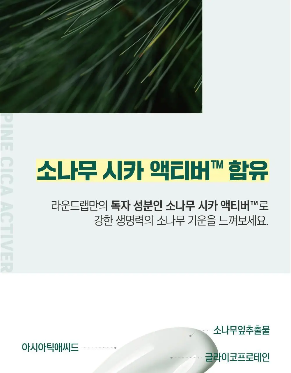 [민감진정] 라운드랩 소나무 진정 시카 로션 250ml 상세페이지 10